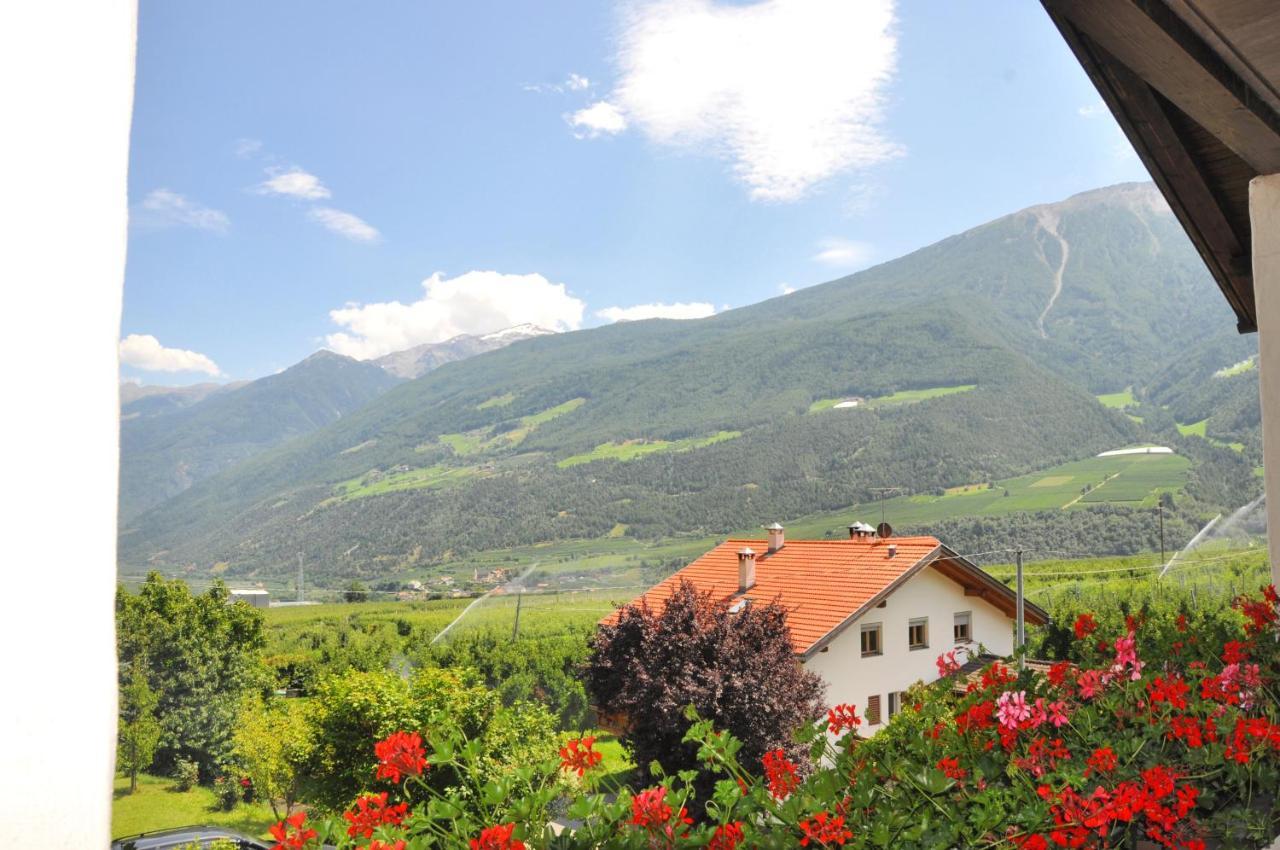 Hotel Feldgaertenhof Silandro Exteriér fotografie