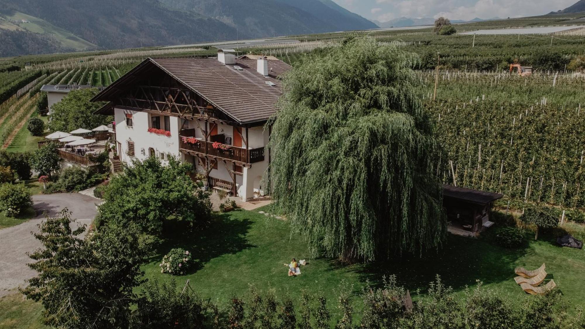 Hotel Feldgaertenhof Silandro Exteriér fotografie