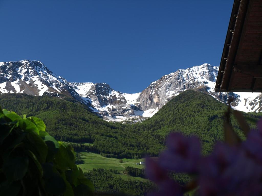 Hotel Feldgaertenhof Silandro Exteriér fotografie